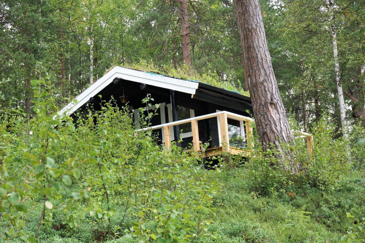 Birk Bed & Birds Bed & Breakfast Svanvik Dış mekan fotoğraf