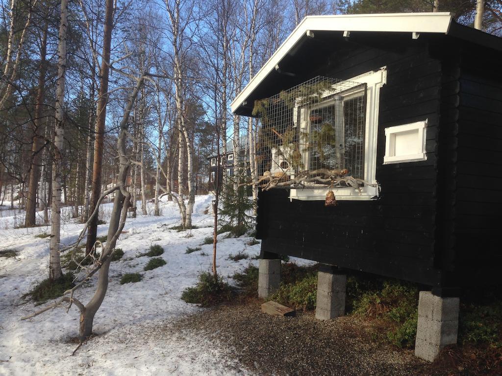 Birk Bed & Birds Bed & Breakfast Svanvik Dış mekan fotoğraf
